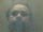 Self Portrait