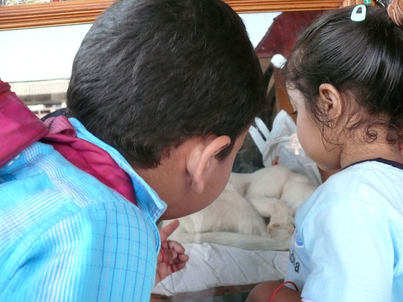 Manu and Shyla trying to wake up the cat at Madgaon Station, copyright Picturejockey : Navin Harish 2005-2009