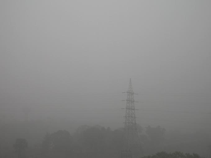 A view of Aarey colony