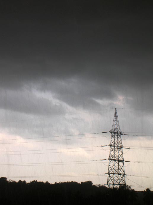 Raindrops in Aarey colony