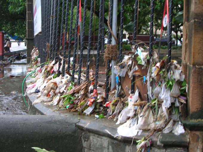 Why do tourists leave behind trash?