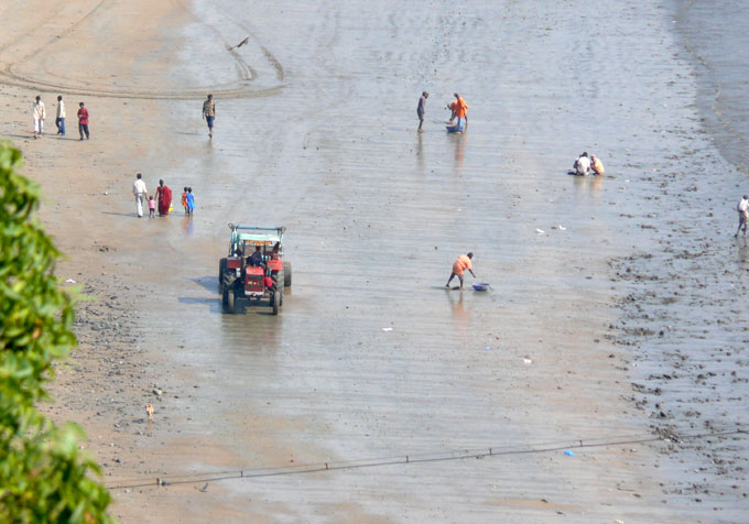 We have clean beaches