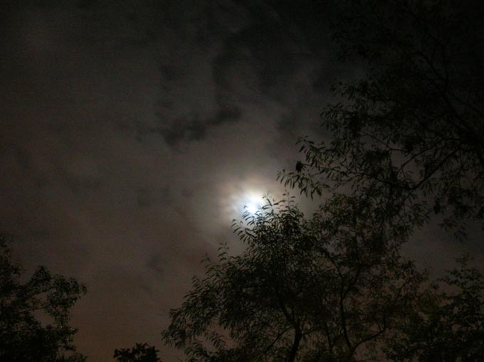 Waching the night sky