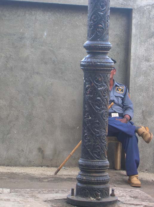 Guard and pole