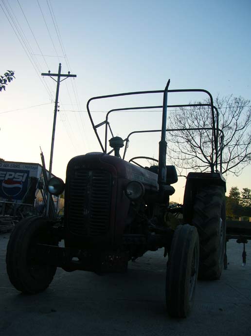 Tree and Tractor at dusk