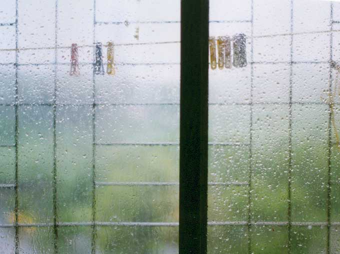 My window during monsoon