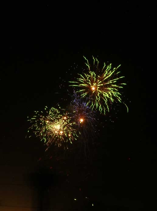 Fourth of July? Beating Retreat? No a firework show in Aarey Colony-Photofriday:Action