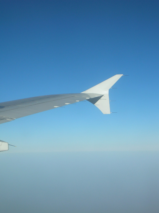 Wings and clouds