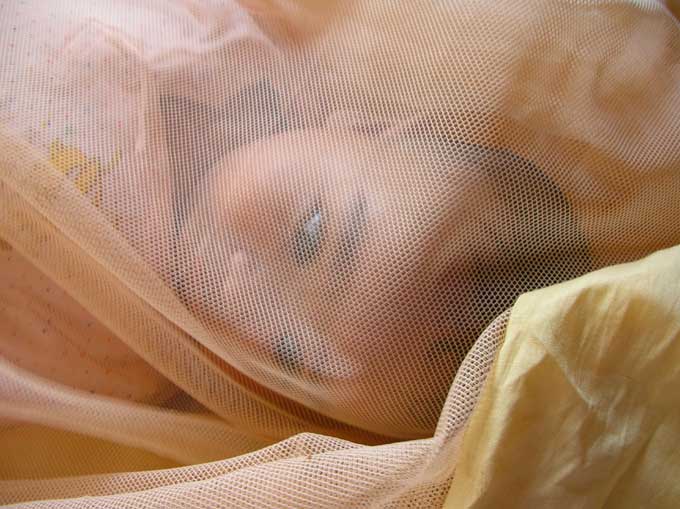 Catch of the day-Manuraj in mosquito net