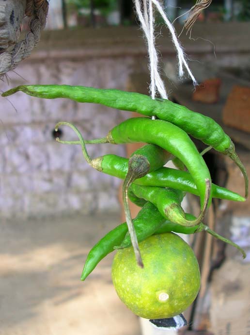 To protect your property or belongings from the evil eyes, you tie chilli and lemons on it. Here the same is seen oputside the shack of a mochi (cobbler)