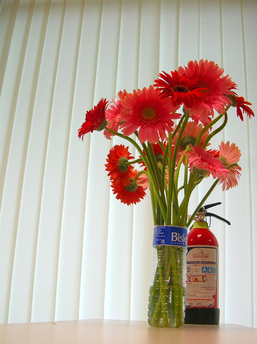 Red flowers and a fire extinguisher