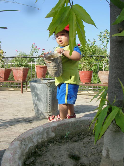 The boy with a green thumb