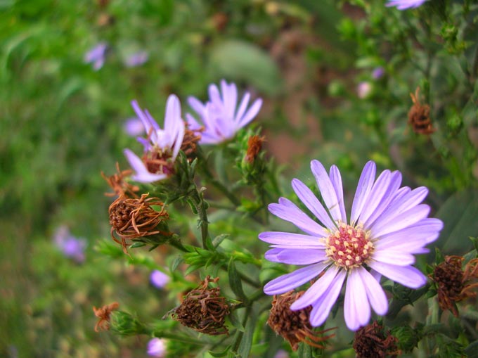  Happy days are here again