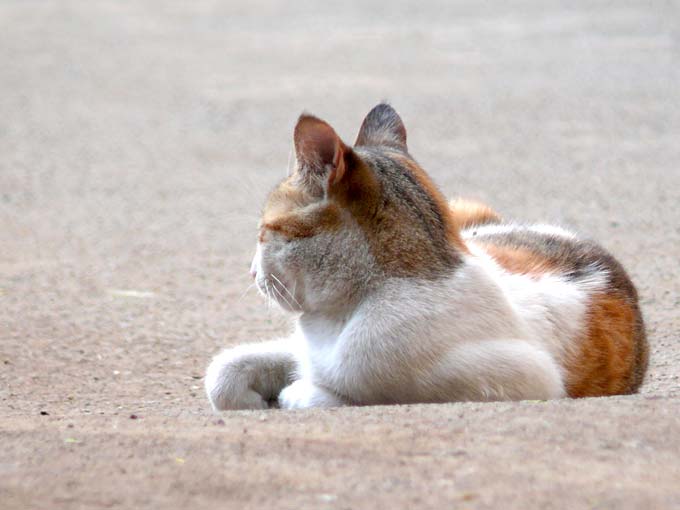 Take another road, I am soaking in sun here