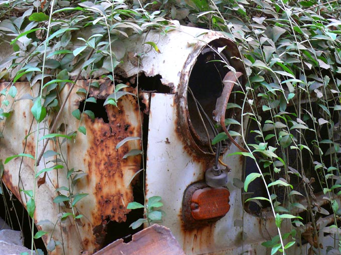 Newest element of landscaping-Cars