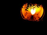 Street light - An image of streetlight in front of my home in Janak Puri, New Delhi
