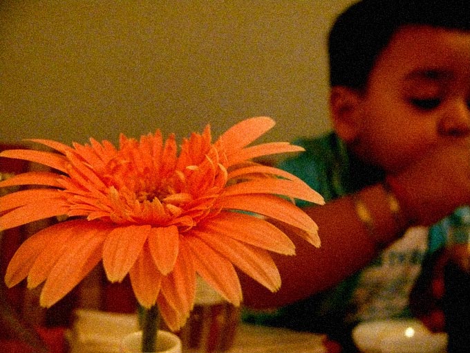 I have been here before too! - An image of a flower and Manu sipping his cola in a restaurant in Andheri, Mumbai | copyright Picturejockey : Navin Harish 2005-2007