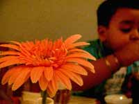 I have been here before too! - An image of a flower and Manu sipping his cola in a restaurant in Andheri, Mumbai