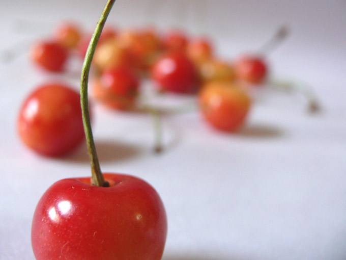 Cherries - An image of Cherries | copyright Picturejockey : Navin Harish 2005-2007