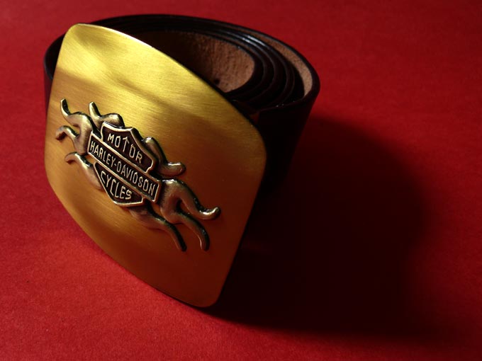 Wanna test ride? - An image of a harley buckle belt | copyright Picturejockey : Navin Harish 2005-2007