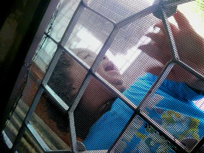 Quick. Let me in - An image of Manu standing in the balcony of our home in Delhi behind the flyscreen | copyright Picturejockey : Navin Harish 2005-2007