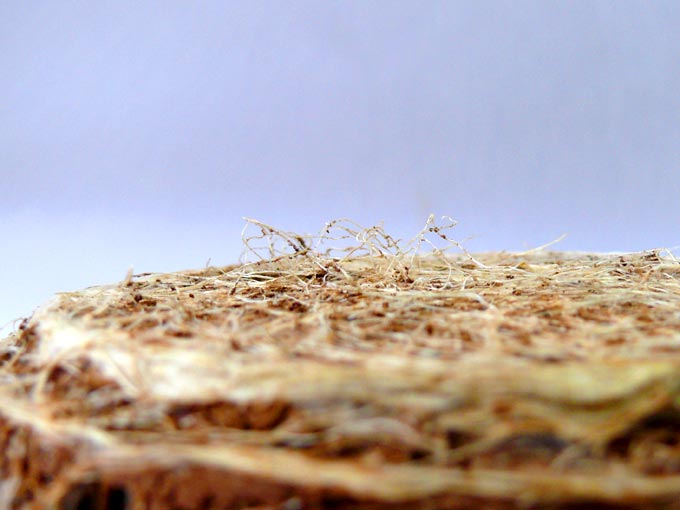 An eco friendly cake - An image of soil I used for growig barley during navratri | copyright Picturejockey : Navin Harish 2005-2008