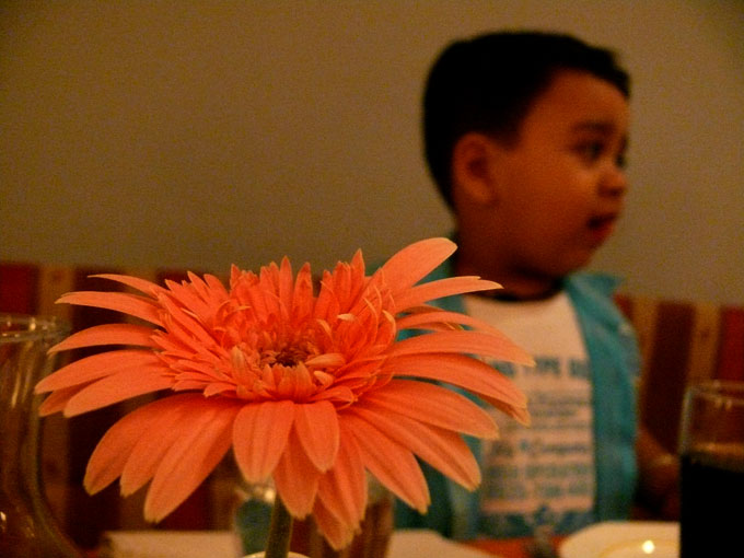 Manu and Flower - An image of Manu and a flower at a restaurant in Jogeshwari  | copyright Picturejockey : Navin Harish 2005-2008