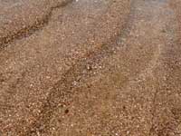 Why can't this be fixed - An image of sand at Aksa Beach, Madh, Mumbai