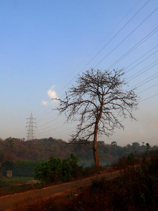 Aawara badal - An image of a tree, electric pole and clod in Aarely colony in Mumbai  | copyright Picturejockey : Navin Harish 2005-2008