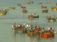 Fishing boats - An image of fishing boats taken from Rajdhani Express on way to Bombay from Delhi