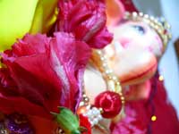 Ganpati's favorite flowers - An image of an idol of Lord Ganesha in our home for the Ganpati Festival