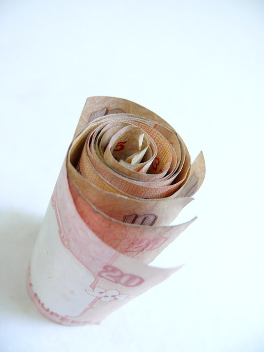 Rolled up notes of ten and twenty Indian Rupees, copyright Picturejockey : Navin Harish 2005-2009