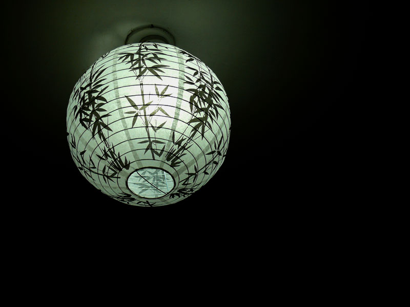 A light globe in our living room, copyright Picturejockey : Navin Harish 2005-2009
