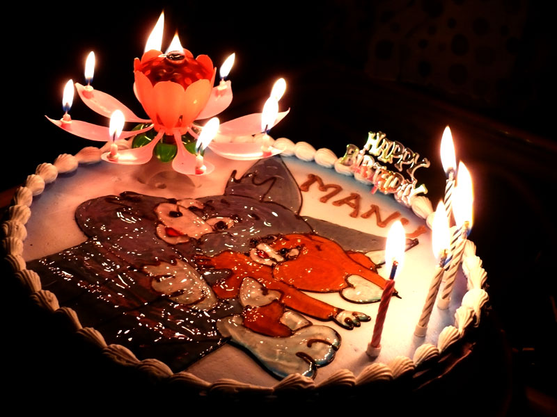 Manu with his birthday cake, copyright Picturejockey : Navin Harish 2005-2009