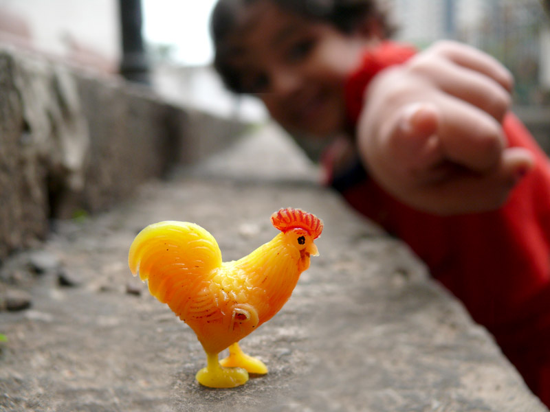 A little girl with a toy rooster, copyright Picturejockey : Navin Harish 2005-2009