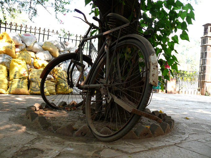 A bicycle reclining on a tree , copyright Picturejockey : Navin Harish 2005-2009