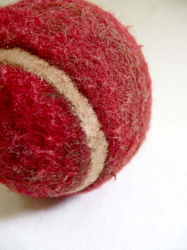 A red tennis ball, copyright Picturejockey : Navin Harish 2005-2009