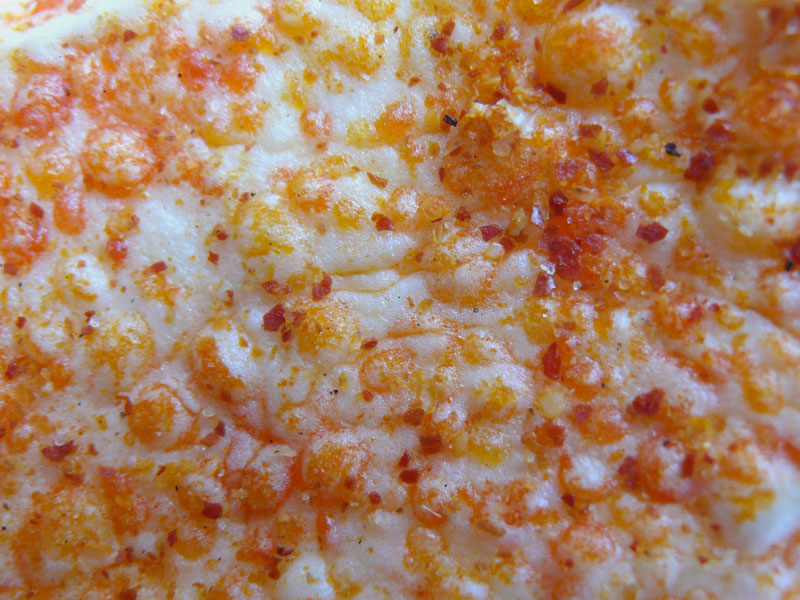 Is it really what it seems?, copyright Picturejockey : Navin Harish 2005-2009