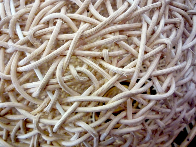 Knotty, copyright Picturejockey : Navin Harish 2005-2009