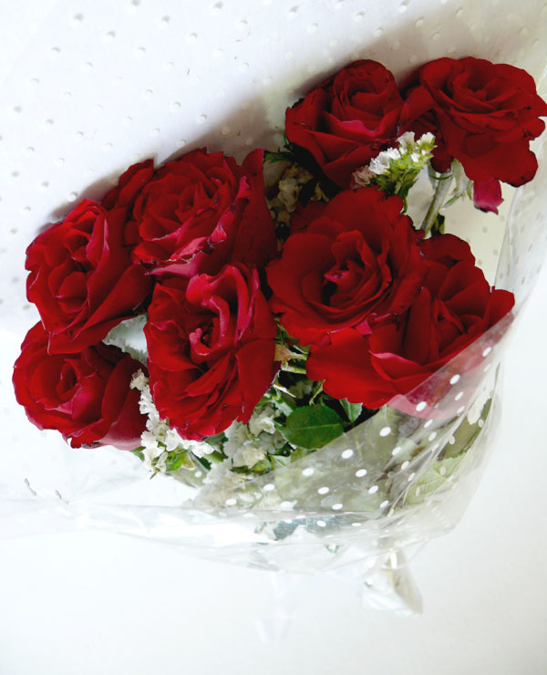 Red roses for Valentine's Day, copyright Picturejockey : Navin Harish 2005-2009