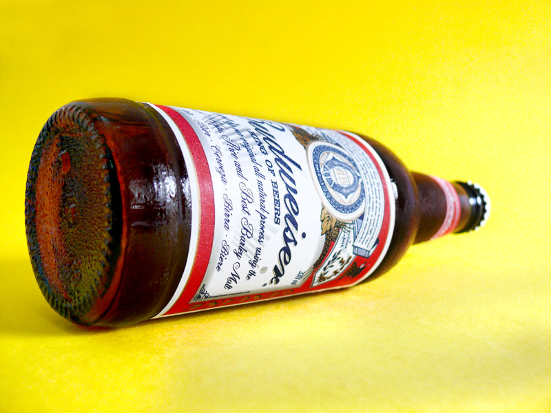 Beer makes you smarter, it made Bud wiser, copyright Picturejockey : Navin Harish 2005-2009