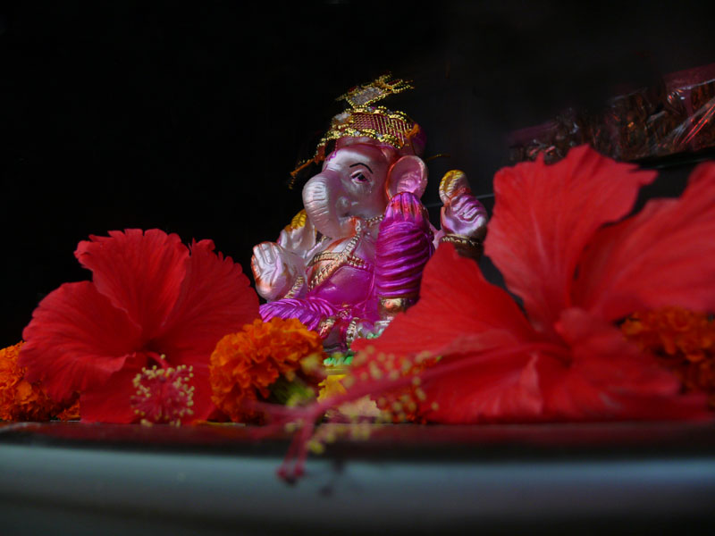 A gift for Manuraj, copyright Picturejockey : Navin Harish 2005-2009