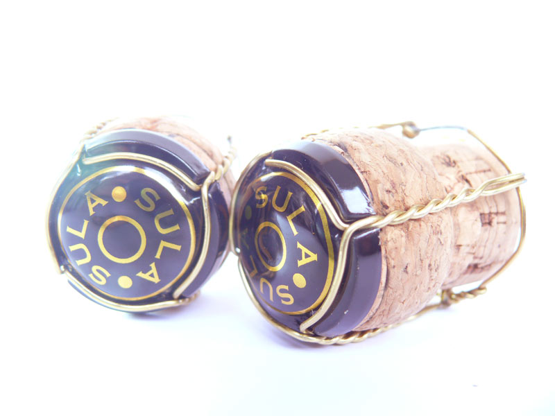 Oye Bubbly, copyright Picturejockey : Navin Harish 2005-2009