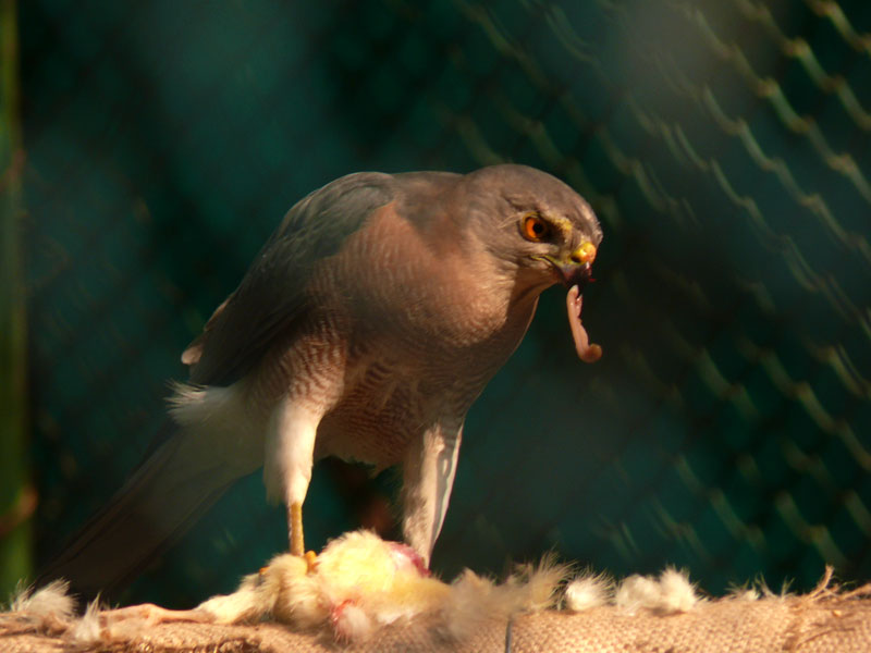 Is it safe in here?, copyright Picturejockey : Navin Harish 2005-2009