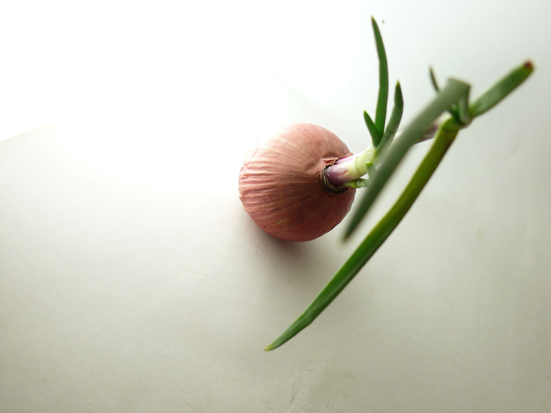 Playing at baseline again, copyright Picturejockey : Navin Harish 2005-2009