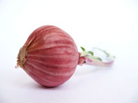 ...and an onion is mightier than a pen