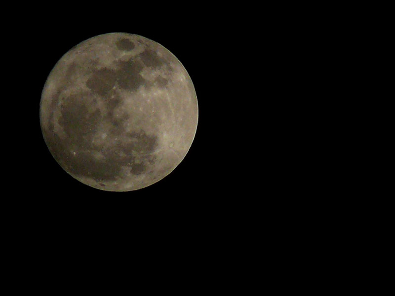 Super moon, copyright Picturejockey : Navin Harish 2005-2009