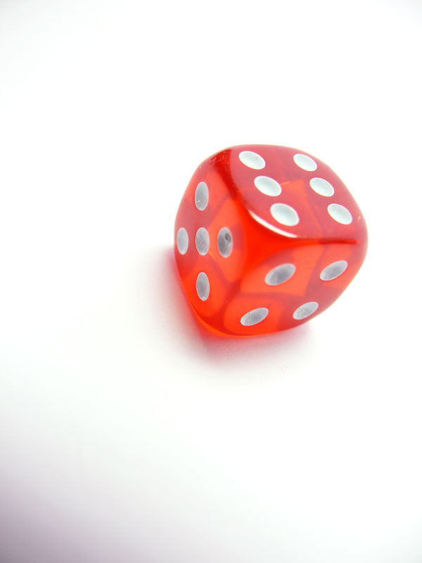 Look at that! Lucky again!, copyright Picturejockey : Navin Harish 2005-2009