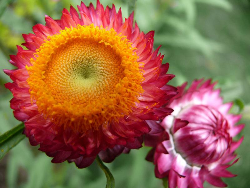 So how did the bone actually broke, copyright Picturejockey : Navin Harish 2005-2009