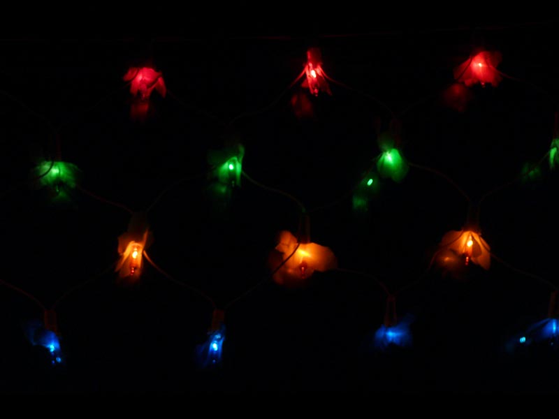 Now I know why these are called Diwali lights, copyright Picturejockey : Navin Harish 2005-2012
